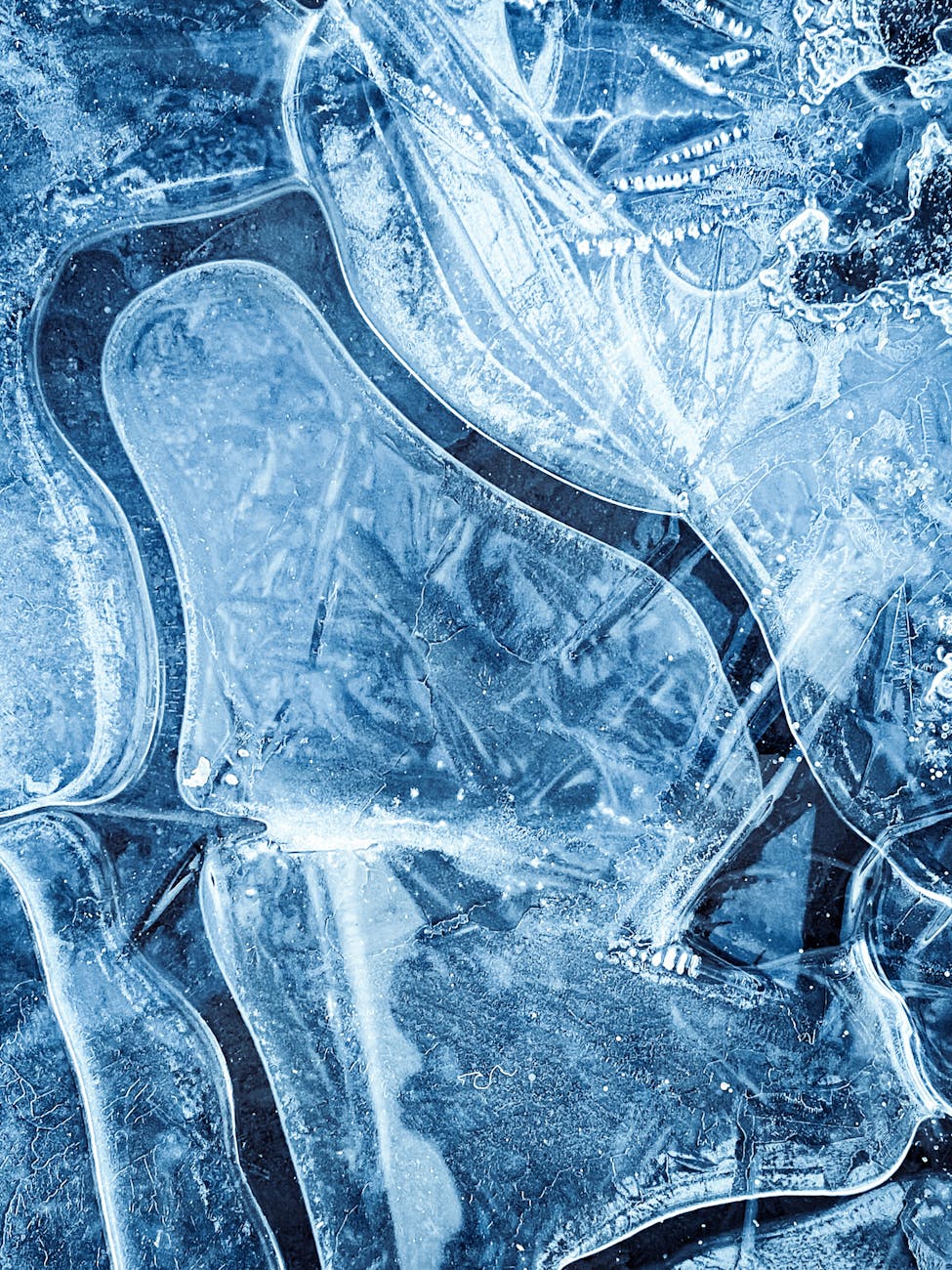 Can cold exposure help with weight loss? The brown fat evidence