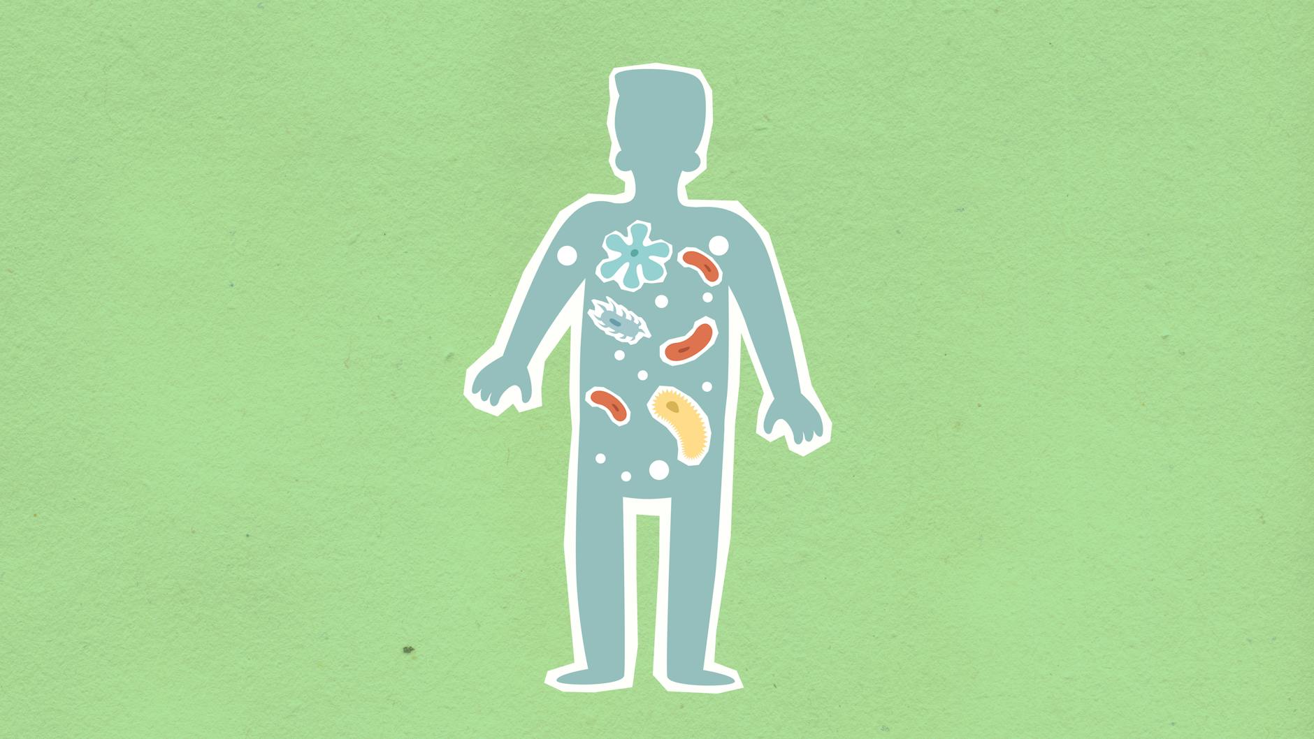 How childhood junk food may rewire the brain for life