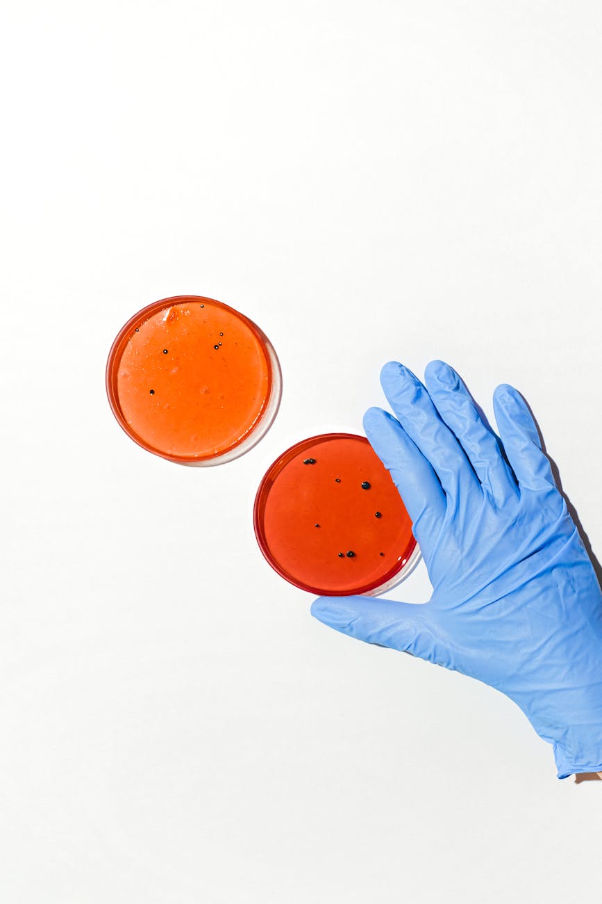 Scientific laboratory glassware and microscope imagery for a story about the gut microbiome and multiple sclerosis.