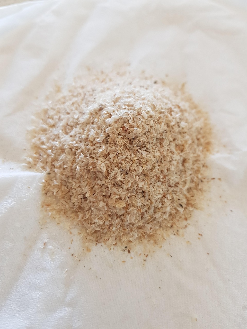 Psyllium husk powder in a bowl with spoon