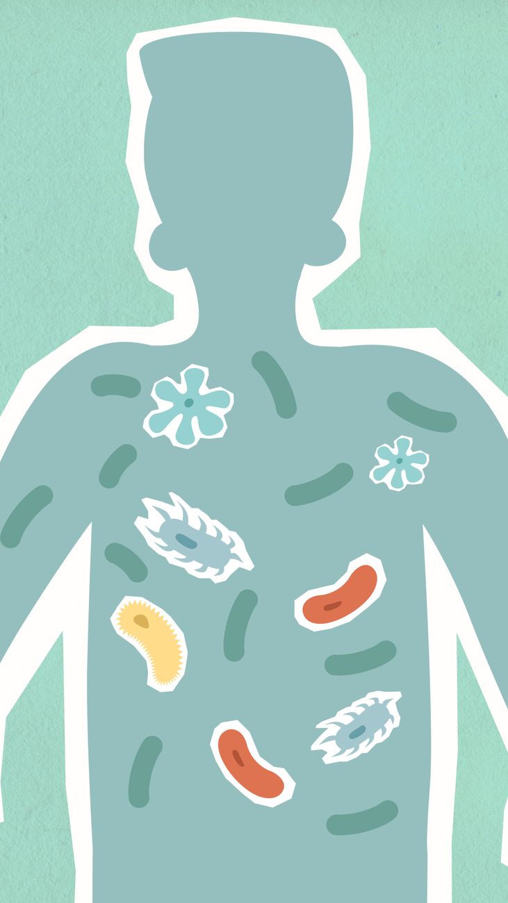 Scientific glassware and lab materials illustrating gut-health research