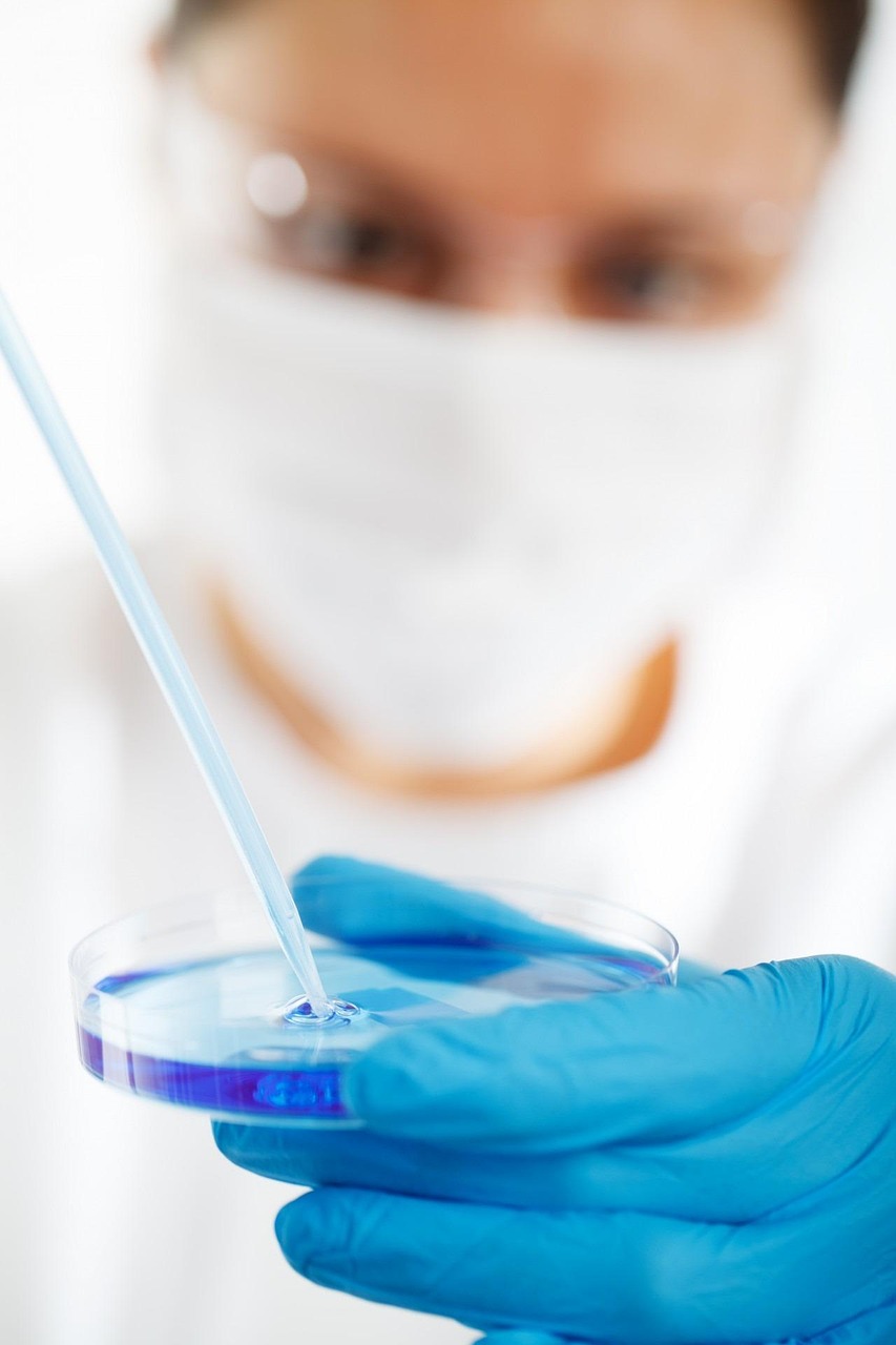 Laboratory petri dish used to study bacterial cultures relevant to gut microbiome research.