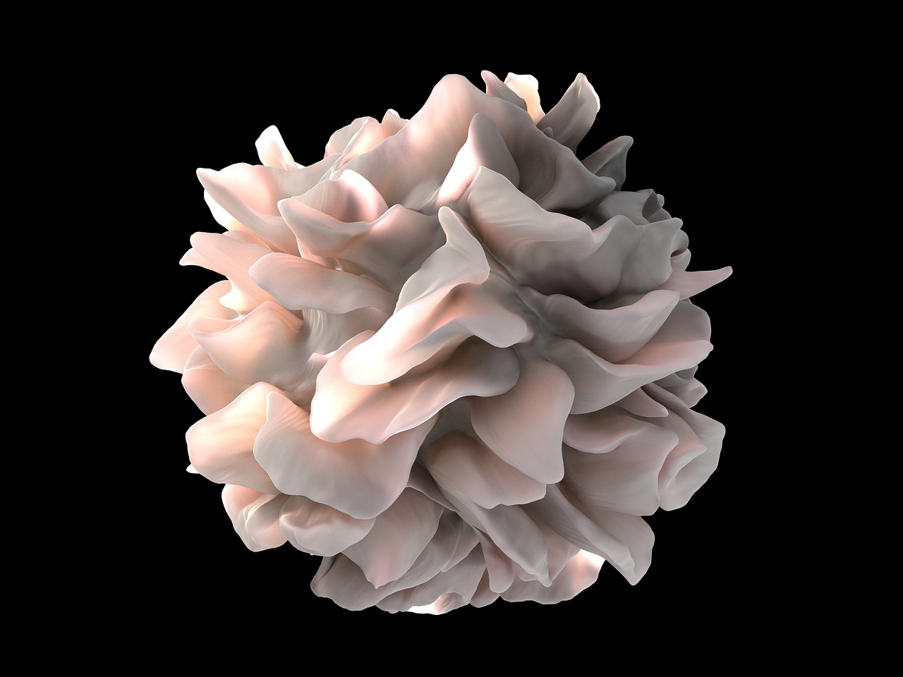 Laboratory image illustrating early-stage cancer immunology research